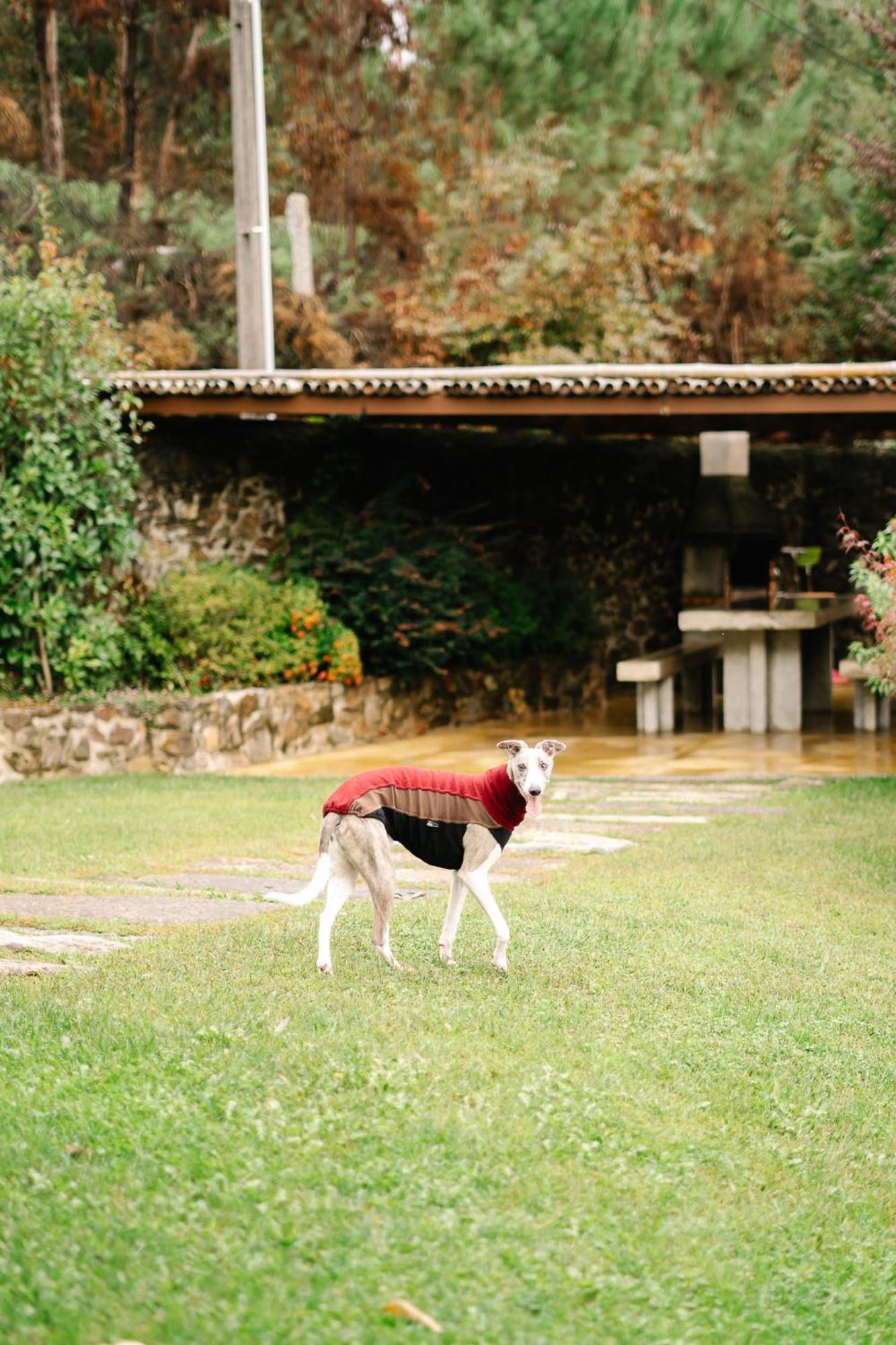 Casa Da Assudra Villa Vila Verde  Exterior foto